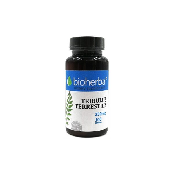 Бабини Зъби /TRIBULUS TERRESTIS/капс.250 мг. Х100 - Image 1