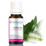 МАСЛО ОТ КАЕПУТ, Melaleuca Cajupitii Oil, 10мл