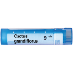 CACTUS GRANDIFLORUS 9CH