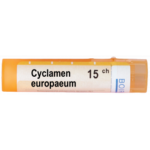 CYCLAMEN EUROPAEUM 15CH
