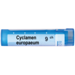 CYCLAMEN EUROPAEUM