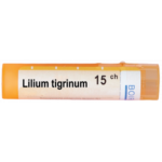 LILIUM TIGRINUM 15CH