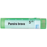 PAREIRA BRAVA 5CH