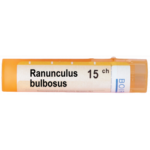 RANUNCULUS BULBOSUS 15CH