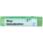 RHUS TOXICODENDRON 5CH