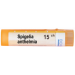 SPIGELIA ANTHELMIA 15CH