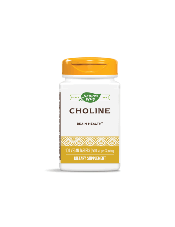 Natures Way Холин 500 mg х 100 таблетки - Image 1