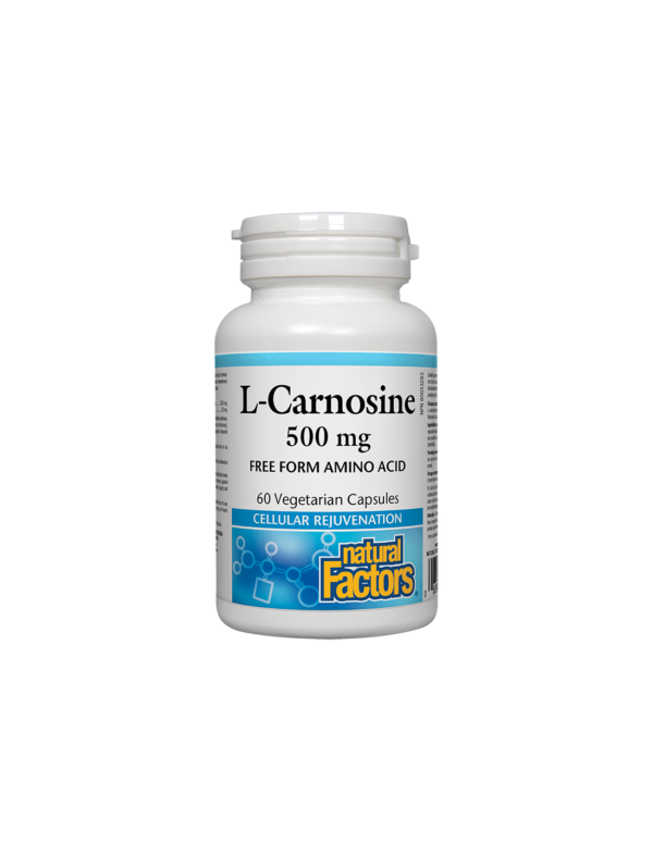 L-Carnosine/ Л-Карнозин 500 mg х 60 капсули Natural Factors - Image 1