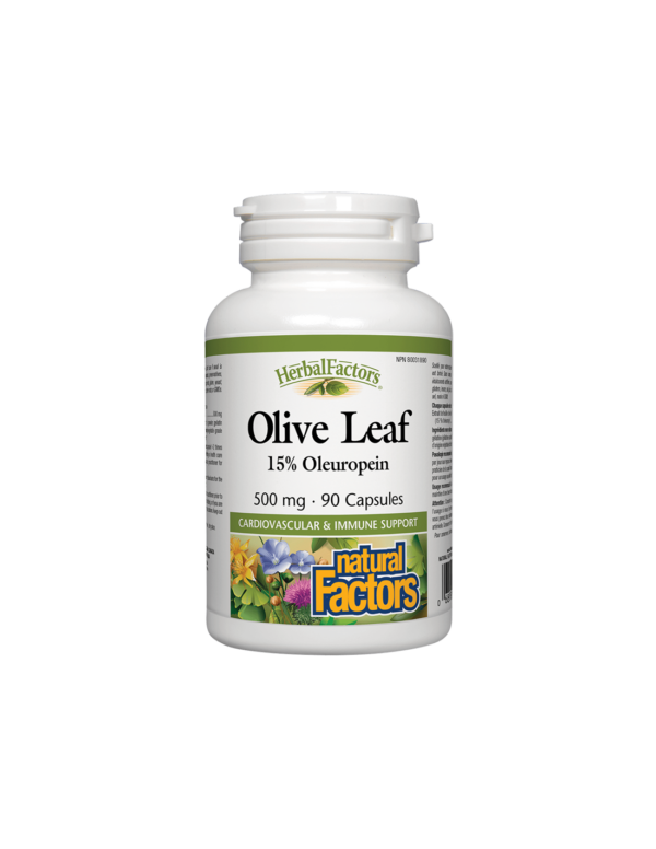 Olive Leaf / Маслина (лист) 500 mg х 90 капсули Natural Factors - Image 1