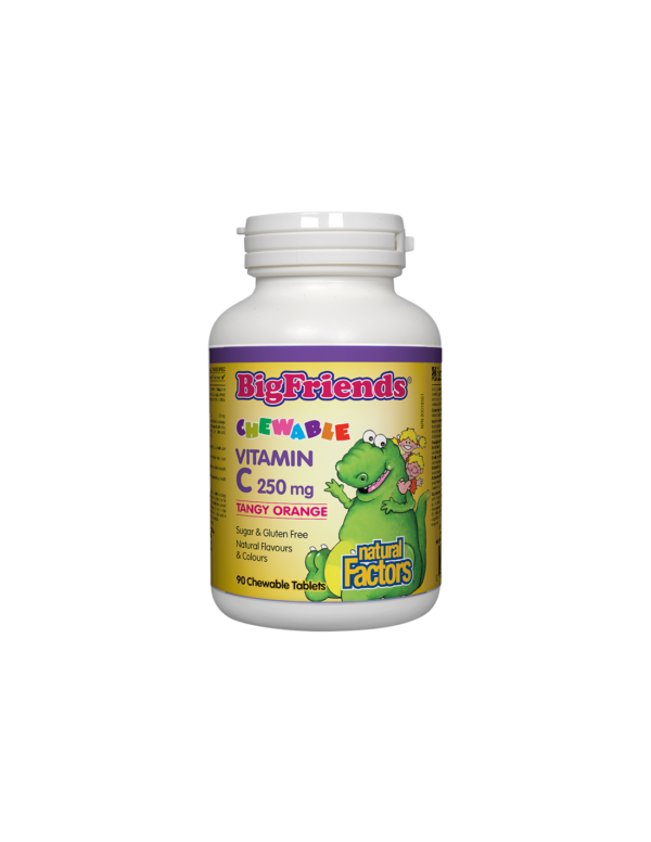 Vitamin C BigFriends®/ Витамин С за деца 250 mg х 90 дъвчащи таблетки с вкус на портокал Natural Factors - Image 1
