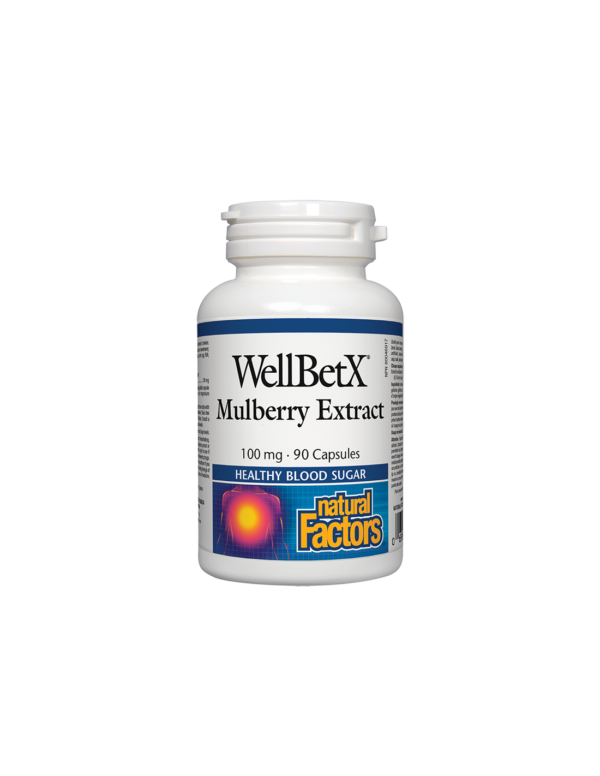 При диабет - Екстракт от бяла черница, 100 mg, 90 капсули Natural Factors - Image 1